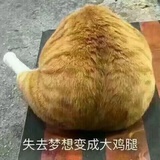 小可爱