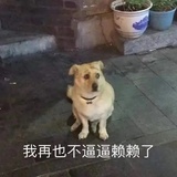 青青河边草