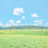 素衣莫起