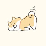 梁泳康