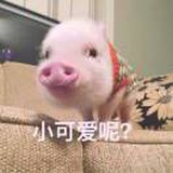 我不去了推荐