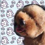 豆友180072080