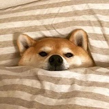 闲来看看