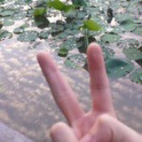 neng