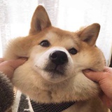 me