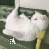 少年英雄小人渣