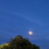 冬冬