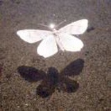琉芒侗
