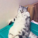 早睡晚起别熬夜