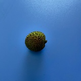 十月
