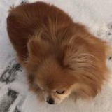 牲幼