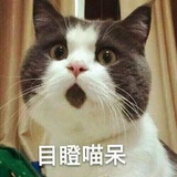 莫与心