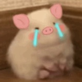 心平气和
