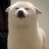 琉璃