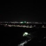 甲虫