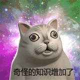 饿死在图书馆