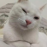 睡过早春