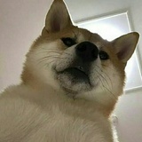 夸了个咖