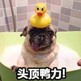 未知
