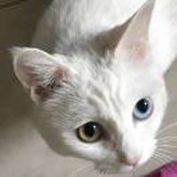 电影首日看