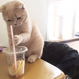 不喜欢吃甜食