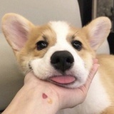 kuku