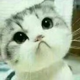 Ttian_EW