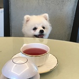 请叫我乘以