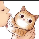 温柔小豆蔻