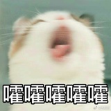 要变天了