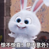 呆呆的凯瑟琳