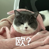 糯米个头
