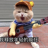 胖球