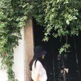 南方人等待初雪