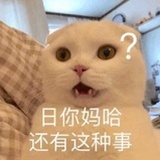 夜航西飞