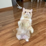 那可不行