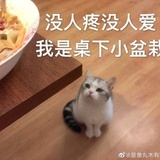 妙妙飞高高
