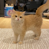 王山而