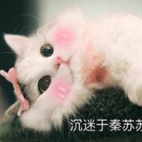 糯米小饭团--