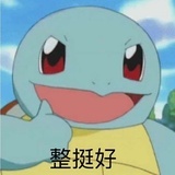 小水龟
