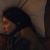 小飞蝶不会飞