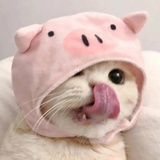 颖颖颖_zy