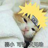 喵喵喵？
