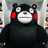 葉子爱睡觉