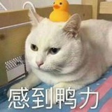 一辈子都是蟹老