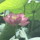 雨后天晴