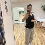 盐湖海鸥