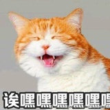 就爱这口