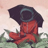 沐雨听风