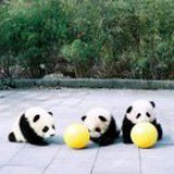 李简